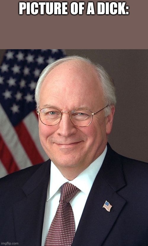 Dick cheney | PICTURE OF A DICK: | image tagged in memes,dick cheney | made w/ Imgflip meme maker
