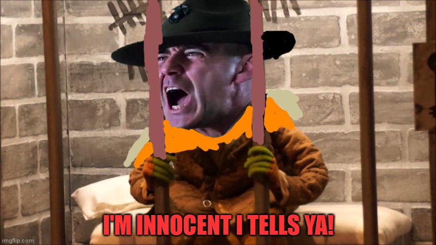 And just like that, the Sargeant is back in jail! | I'M INNOCENT I TELLS YA! | image tagged in kermit in jail,jail,youre in,big trouble mister | made w/ Imgflip meme maker