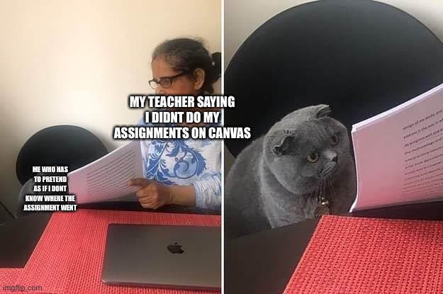 Woman showing paper to cat | MY TEACHER SAYING I DIDNT DO MY ASSIGNMENTS ON CANVAS; ME WHO HAS TO PRETEND AS IF I DONT KNOW WHERE THE ASSIGNMENT WENT | image tagged in woman showing paper to cat | made w/ Imgflip meme maker