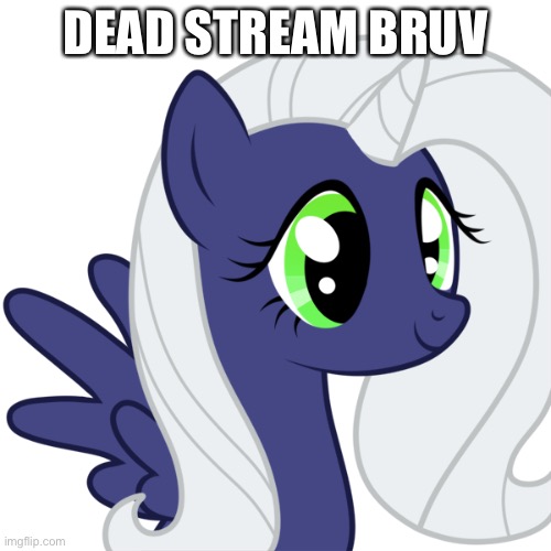 pony cinny ig- | DEAD STREAM BRUV | image tagged in pony cinny ig- | made w/ Imgflip meme maker