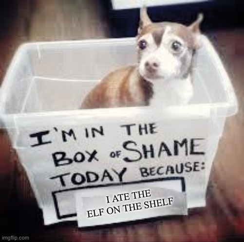 Shame Dog | I ATE THE ELF ON THE SHELF | image tagged in shame dog | made w/ Imgflip meme maker