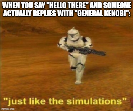 Just like the simulations | WHEN YOU SAY "HELLO THERE" AND SOMEONE ACTUALLY REPLIES WITH "GENERAL KENOBI": | image tagged in just like the simulations | made w/ Imgflip meme maker