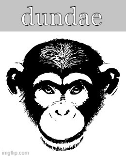 dundae | dundae | image tagged in monke,funny,image,dundae | made w/ Imgflip meme maker