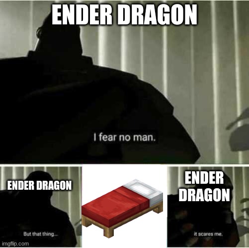 (Mod Note: Dream be like) | ENDER DRAGON; ENDER DRAGON; ENDER DRAGON | image tagged in i fear no man | made w/ Imgflip meme maker