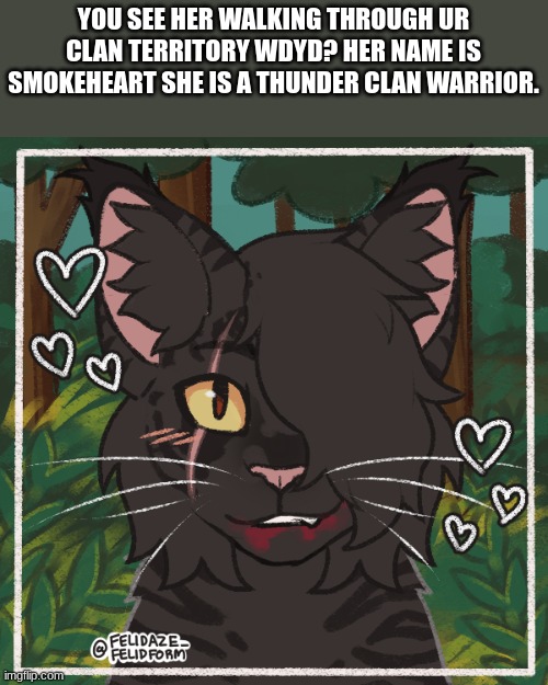 cross clan romance rp | YOU SEE HER WALKING THROUGH UR CLAN TERRITORY WDYD? HER NAME IS SMOKEHEART SHE IS A THUNDER CLAN WARRIOR. | made w/ Imgflip meme maker