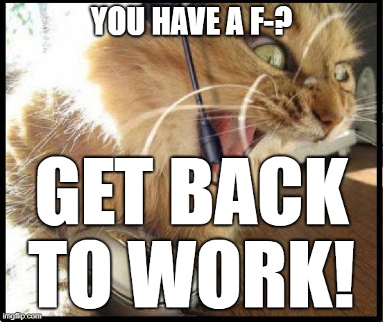 GET BACK TO WORK | YOU HAVE A F-? GET BACK TO WORK! | image tagged in get back to work | made w/ Imgflip meme maker