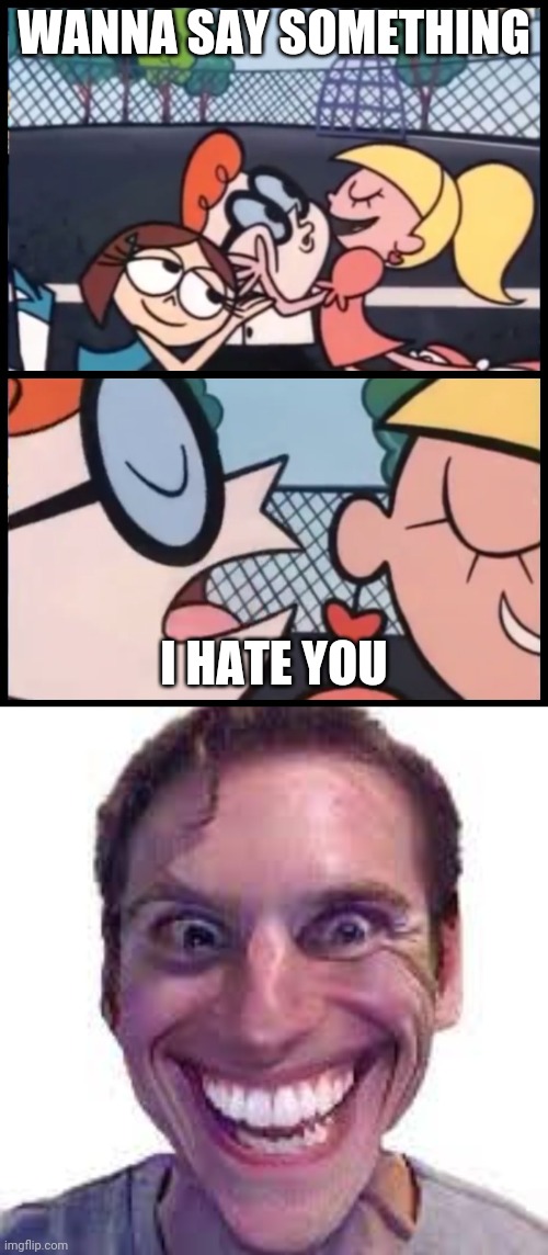Funny ? | WANNA SAY SOMETHING; I HATE YOU | image tagged in memes,say it again dexter,funny memes | made w/ Imgflip meme maker