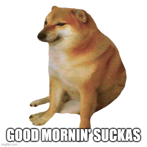 gm | GOOD MORNIN' SUCKAS | image tagged in cheems | made w/ Imgflip meme maker