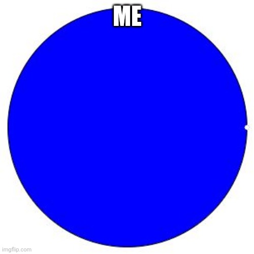 100% Pie Chart | ME | image tagged in 100 pie chart | made w/ Imgflip meme maker