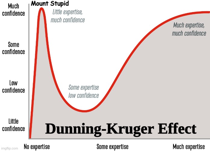 Dunning-Kruger Effect | Mount Stupid; Dunning-Kruger Effect | image tagged in dunning-kruger effect,psychology,mount stupid,expertise,illusory superiority,cognitive bias | made w/ Imgflip meme maker