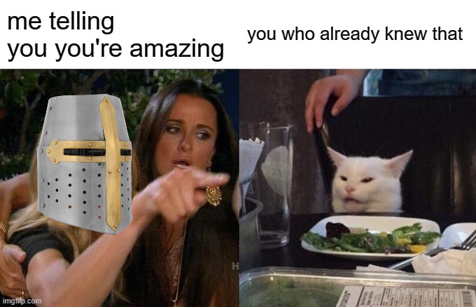 oh...you did?....ok..sorry | me telling you you're amazing; you who already knew that | image tagged in memes,woman yelling at cat | made w/ Imgflip meme maker