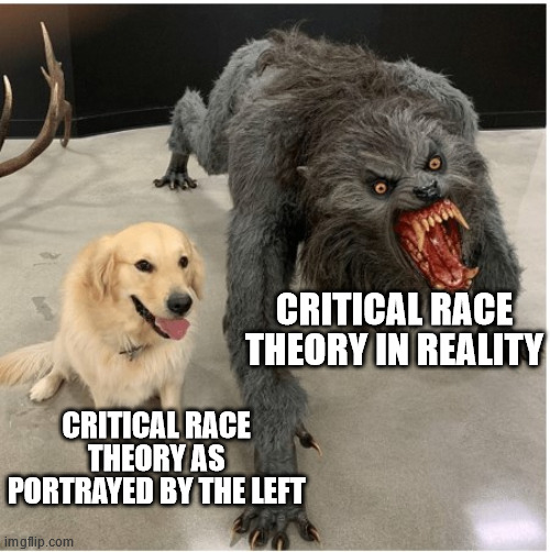 dog wolf | CRITICAL RACE THEORY IN REALITY; CRITICAL RACE THEORY AS PORTRAYED BY THE LEFT | image tagged in dog wolf | made w/ Imgflip meme maker