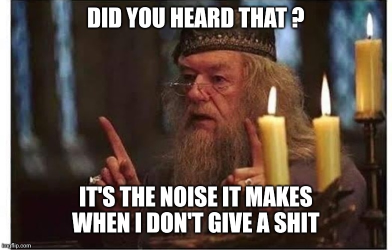 Dumbledore | DID YOU HEARD THAT ? IT'S THE NOISE IT MAKES WHEN I DON'T GIVE A SHIT | image tagged in harry potter,dumbledore | made w/ Imgflip meme maker