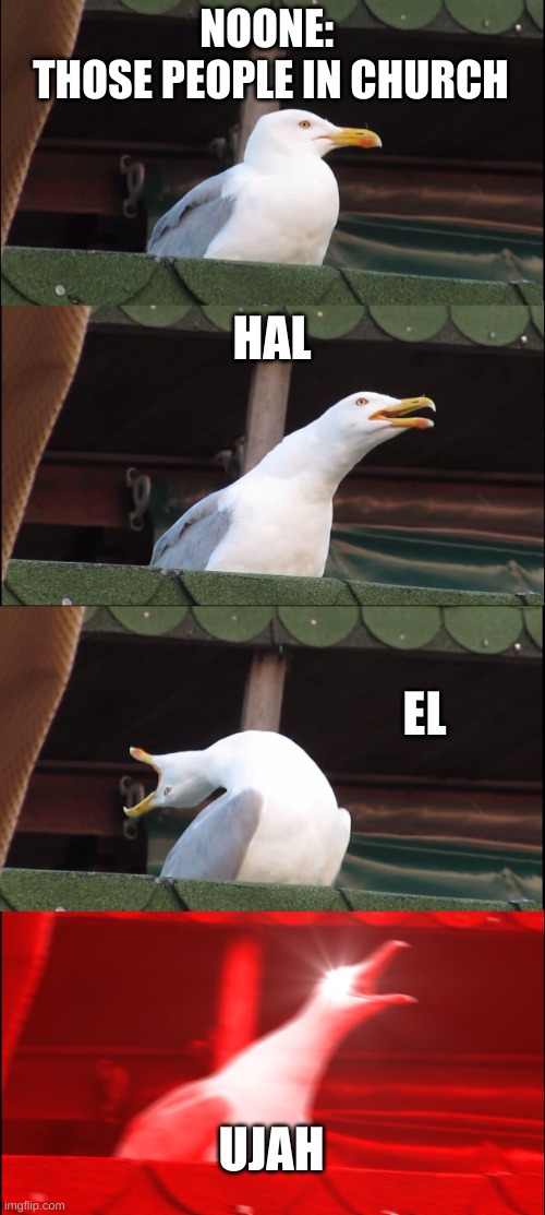 Even if your in front of them |  NOONE: 
THOSE PEOPLE IN CHURCH; HAL; EL; UJAH | image tagged in memes,inhaling seagull,church,meme,funny | made w/ Imgflip meme maker