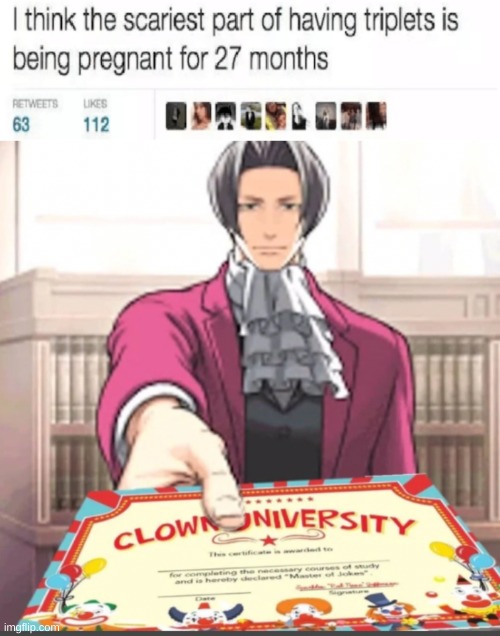 stupid | image tagged in you have been invited to clown university | made w/ Imgflip meme maker