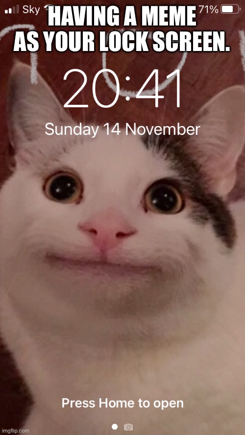  HAVING A MEME AS YOUR LOCK SCREEN. | image tagged in polite cat phone | made w/ Imgflip meme maker