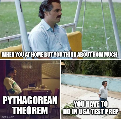 Sad Pablo Escobar | WHEN YOU AT HOME BUT YOU THINK ABOUT HOW MUCH; PYTHAGOREAN THEOREM; YOU HAVE TO DO IN USA TEST PREP | image tagged in memes,sad pablo escobar | made w/ Imgflip meme maker
