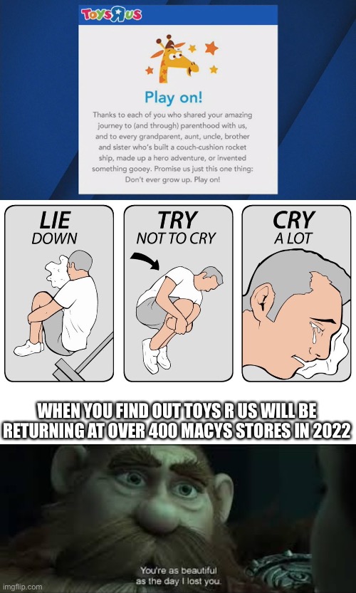  WHEN YOU FIND OUT TOYS R US WILL BE RETURNING AT OVER 400 MACYS STORES IN 2022 | image tagged in try not to cry,you're as beautiful as the day i lost you,toys r us,happy,good memes,wholesome | made w/ Imgflip meme maker