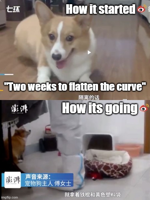 Flatten Time | How it started; "Two weeks to flatten the curve"; How its going | image tagged in covid-19,plastic bag challenge | made w/ Imgflip meme maker
