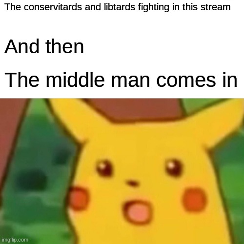 Nobody: | The conservitards and libtards fighting in this stream; And then; The middle man comes in | image tagged in memes,surprised pikachu | made w/ Imgflip meme maker