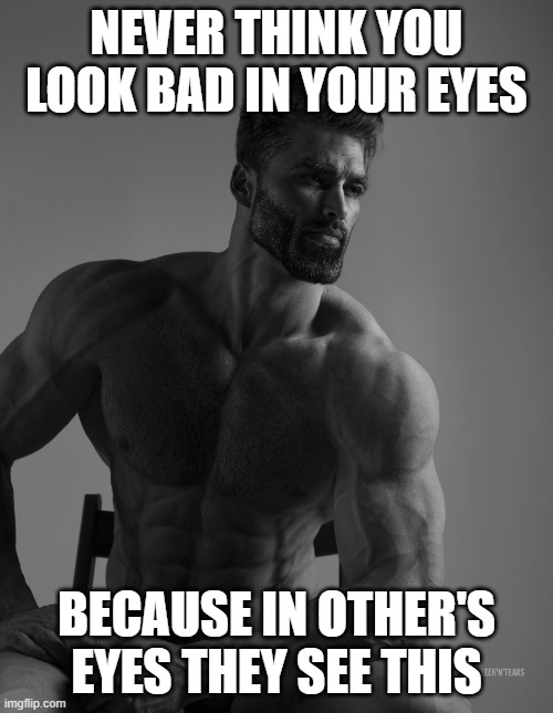 True | NEVER THINK YOU LOOK BAD IN YOUR EYES; BECAUSE IN OTHER'S EYES THEY SEE THIS | image tagged in giga chad | made w/ Imgflip meme maker