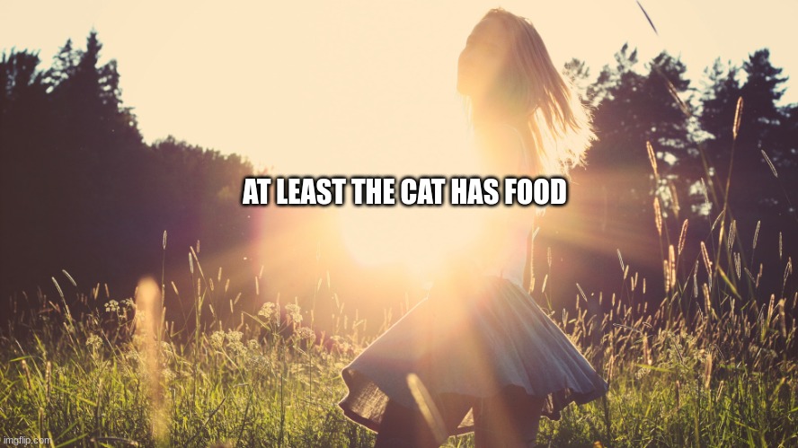 Bright side | AT LEAST THE CAT HAS FOOD | image tagged in bright side | made w/ Imgflip meme maker