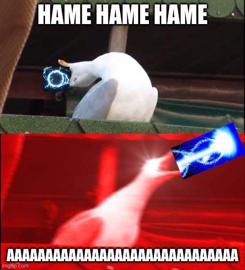Screaming bird | HAME HAME HAME; AAAAAAAAAAAAAAAAAAAAAAAAAAAAAA | image tagged in screaming bird | made w/ Imgflip meme maker