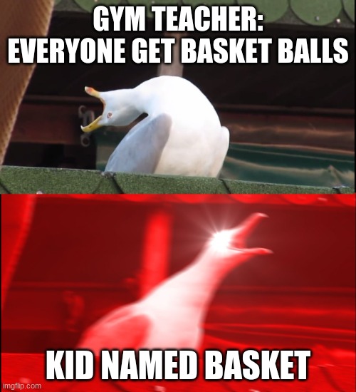 Screaming bird | GYM TEACHER: EVERYONE GET BASKET BALLS; KID NAMED BASKET | image tagged in screaming bird | made w/ Imgflip meme maker