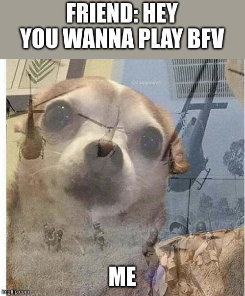 battlefield 5 bad | FRIEND: HEY YOU WANNA PLAY BFV; ME | image tagged in ptsd chihuahua,battlefield 5 | made w/ Imgflip meme maker