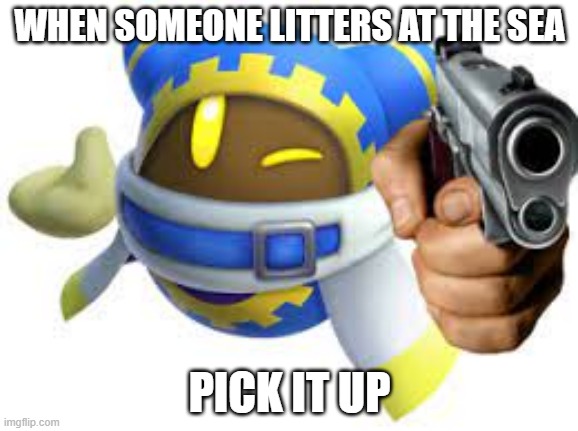 #TeamSEAS | WHEN SOMEONE LITTERS AT THE SEA; PICK IT UP | image tagged in kirby,magolor,teamseas | made w/ Imgflip meme maker