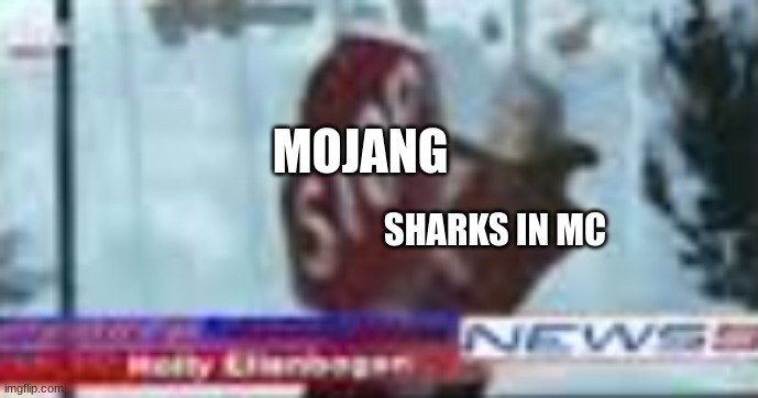 whoever knows where this is from you deserve a veterans discount | MOJANG; SHARKS IN MC | image tagged in holly ellenbogen stop sign | made w/ Imgflip meme maker