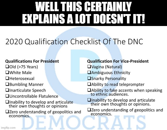 DNC Qualification Checklist For POTUS and that other person | WELL THIS CERTAINLY EXPLAINS A LOT DOESN'T IT! | image tagged in biden,kamala | made w/ Imgflip meme maker