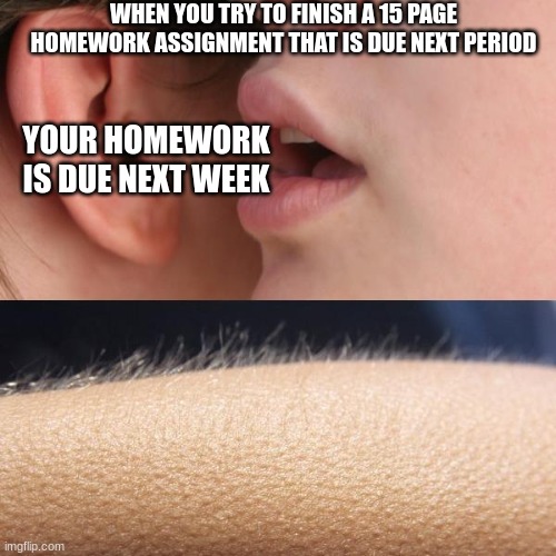 Whisper and Goosebumps | WHEN YOU TRY TO FINISH A 15 PAGE HOMEWORK ASSIGNMENT THAT IS DUE NEXT PERIOD; YOUR HOMEWORK IS DUE NEXT WEEK | image tagged in whisper and goosebumps | made w/ Imgflip meme maker