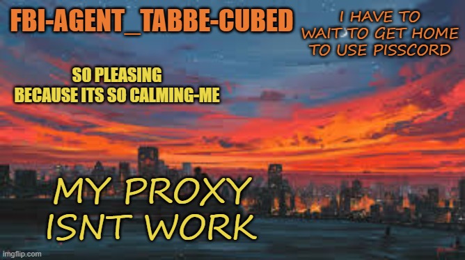 it works just like. not discord | I HAVE TO WAIT TO GET HOME TO USE PISSCORD; MY PROXY ISNT WORK | image tagged in my sunset temp p | made w/ Imgflip meme maker
