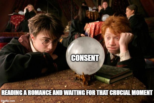 Harry Potter meme | CONSENT; READING A ROMANCE AND WAITING FOR THAT CRUCIAL MOMENT | image tagged in harry potter meme | made w/ Imgflip meme maker