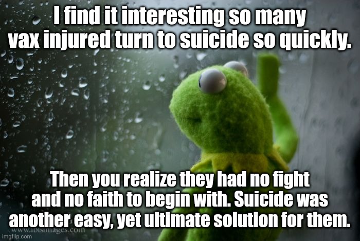 Sad | I find it interesting so many vax injured turn to suicide so quickly. Then you realize they had no fight and no faith to begin with. Suicide was another easy, yet ultimate solution for them. | image tagged in kermit window | made w/ Imgflip meme maker