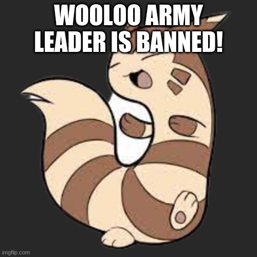 yay | WOOLOO ARMY LEADER IS BANNED! | image tagged in dancing furret | made w/ Imgflip meme maker