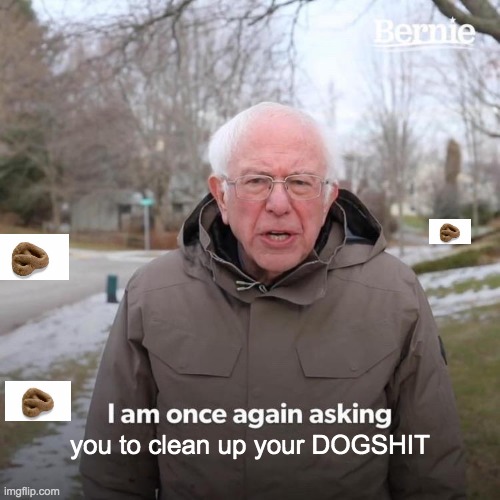I hope your town/city is not like this | you to clean up your DOGSHIT | image tagged in memes,bernie i am once again asking for your support | made w/ Imgflip meme maker