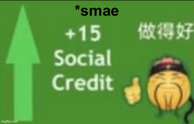 +15 social credit | *smae | image tagged in 15 social credit | made w/ Imgflip meme maker