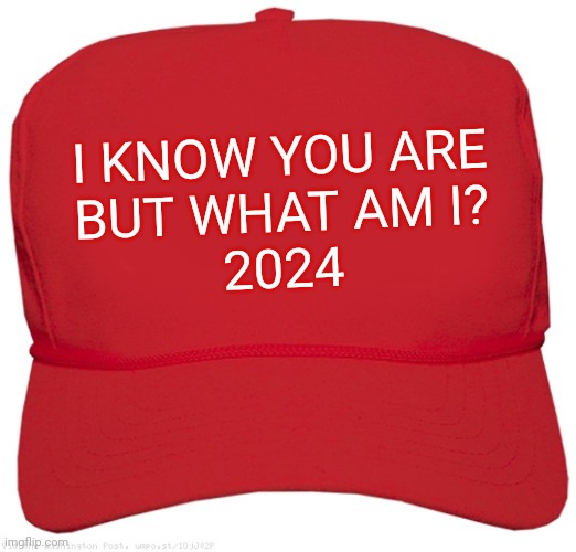 Make America Juvenile Again | I KNOW YOU ARE
BUT WHAT AM I?
2024 | image tagged in blank red maga hat,baby trump,no u,childish | made w/ Imgflip meme maker