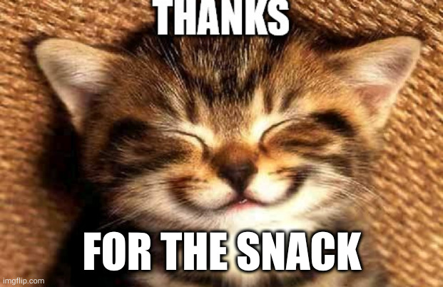 thanks | FOR THE SNACK | image tagged in thanks | made w/ Imgflip meme maker