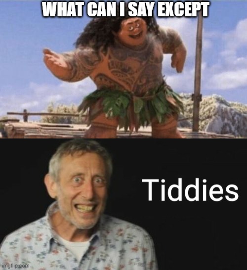 WHAT CAN I SAY EXCEPT | image tagged in what can i say except x,tiddies | made w/ Imgflip meme maker