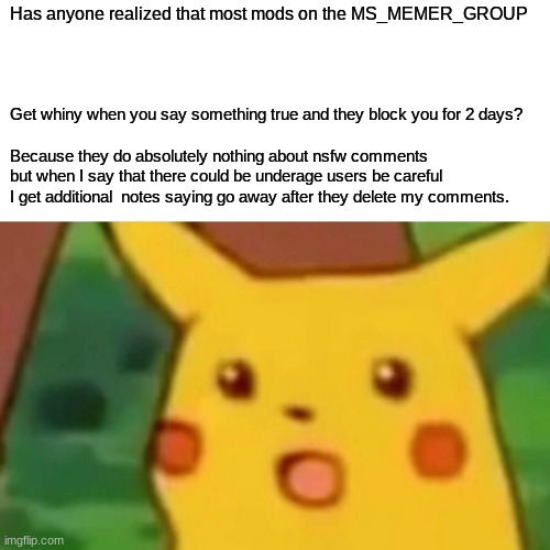THEY DO NOTHING BOUT THEIR OWN STREAM! | Has anyone realized that most mods on the MS_MEMER_GROUP; Get whiny when you say something true and they block you for 2 days? Because they do absolutely nothing about nsfw comments but when I say that there could be underage users be careful I get additional  notes saying go away after they delete my comments. | image tagged in memes,surprised pikachu | made w/ Imgflip meme maker