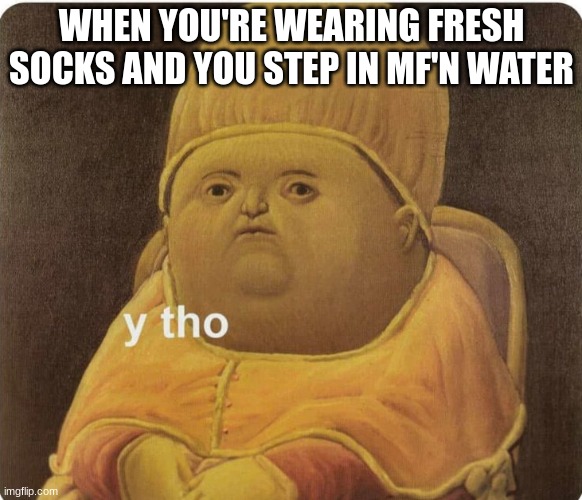 WHEN YOU'RE WEARING FRESH SOCKS AND YOU STEP IN MF'N WATER | image tagged in funny | made w/ Imgflip meme maker