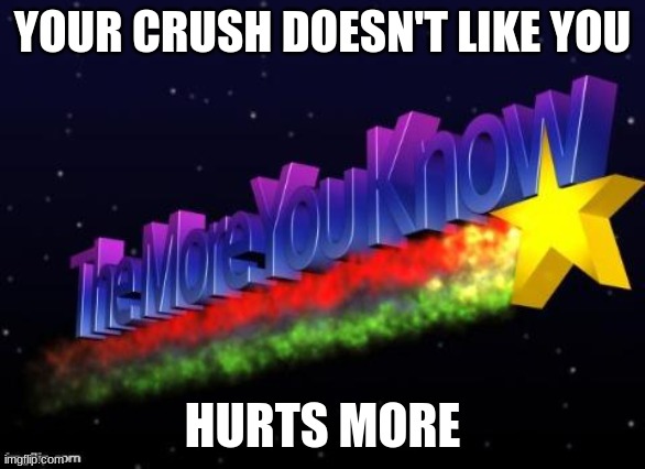 your crush hates you | YOUR CRUSH DOESN'T LIKE YOU; HURTS MORE | image tagged in the more you know | made w/ Imgflip meme maker