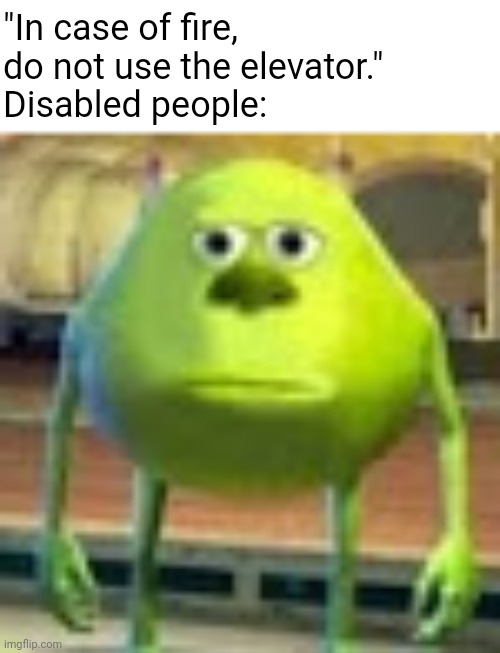 For those using wheelchairs... | "In case of fire, do not use the elevator."
Disabled people: | image tagged in sully wazowski | made w/ Imgflip meme maker