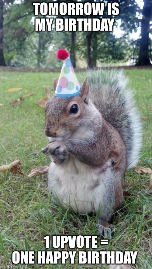 Super Birthday Squirrel Meme | TOMORROW IS MY BIRTHDAY; 1 UPVOTE = ONE HAPPY BIRTHDAY | image tagged in memes,super birthday squirrel | made w/ Imgflip meme maker