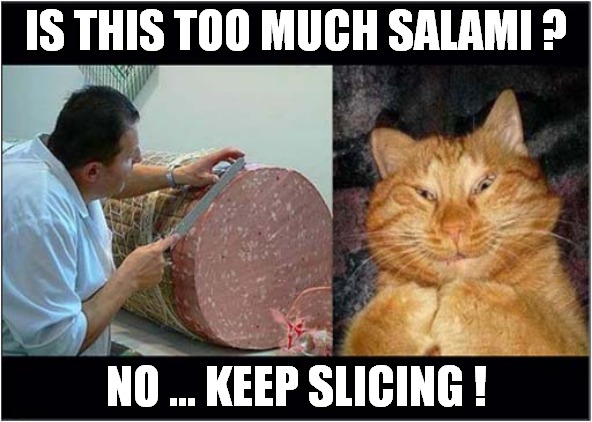 Greedy Cat ! | IS THIS TOO MUCH SALAMI ? NO ... KEEP SLICING ! | image tagged in cats,greedy,salami | made w/ Imgflip meme maker