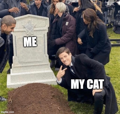 Grant Gustin over grave | ME; MY CAT | image tagged in grant gustin over grave | made w/ Imgflip meme maker