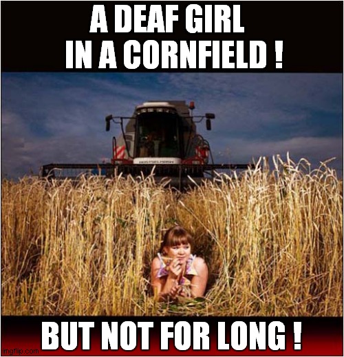 It's Behind You ! | A DEAF GIRL   IN A CORNFIELD ! BUT NOT FOR LONG ! | image tagged in deaf,combine harvester | made w/ Imgflip meme maker